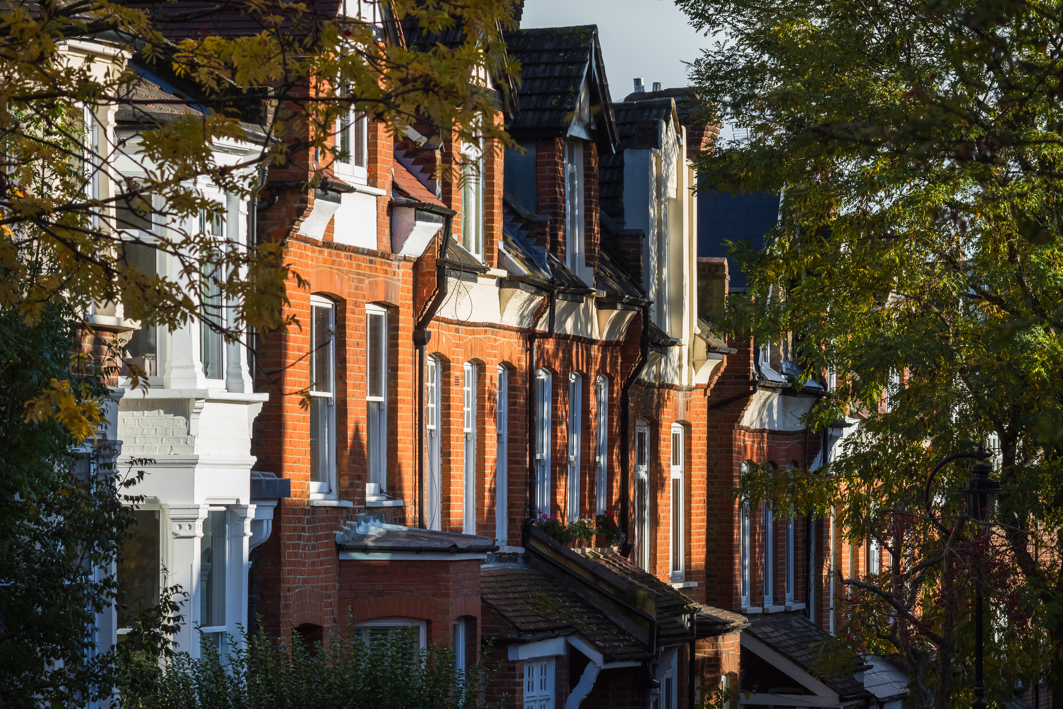 Facade of traditional English terraced houses partially in the shade of trees in Crouch End of London